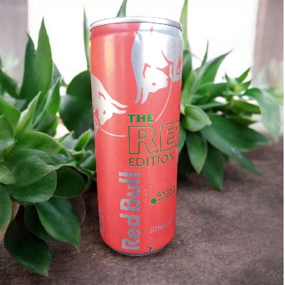 RED BULL WATERMELON 250ML